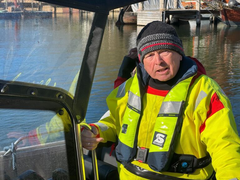 Weitere Entwicklung zum Buckelwal in der Ostsee