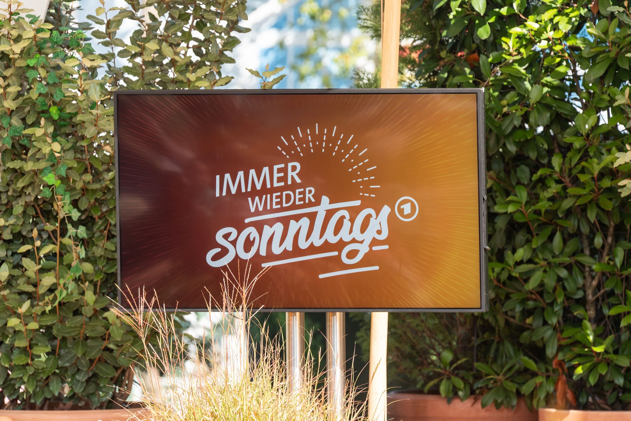 TV Ausblick ARD - «Immer wieder sonntags»