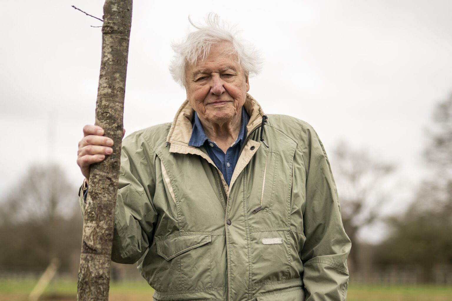 Sir David Attenborough