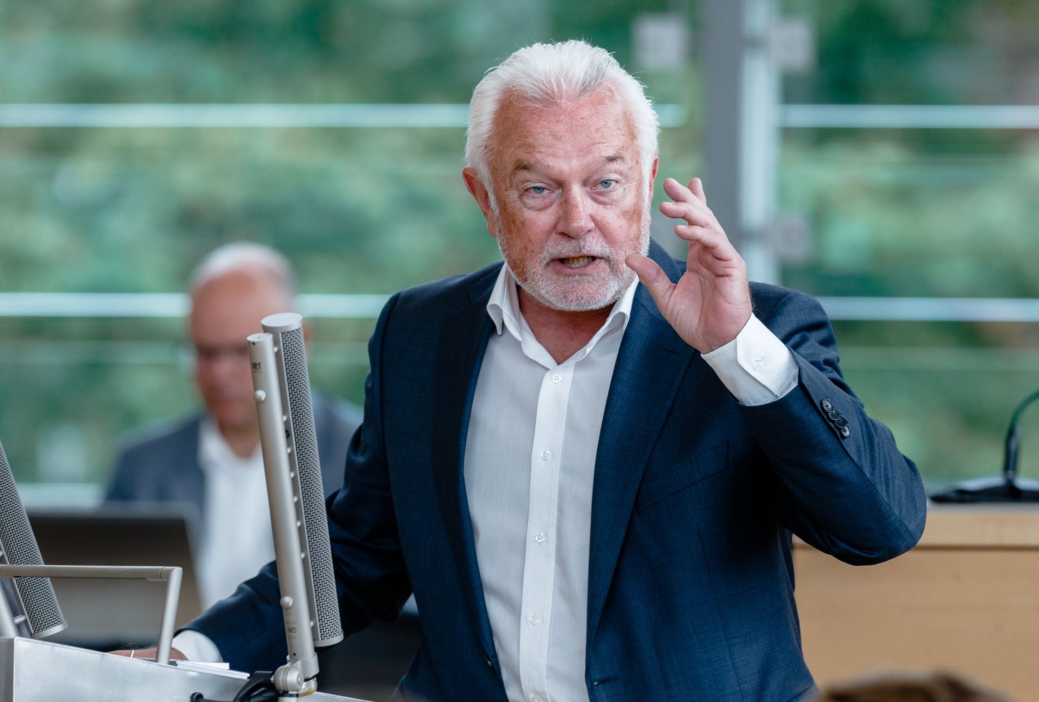 Wolfgang Kubicki