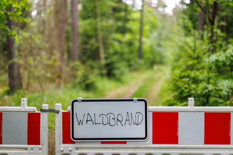 Waldbrand