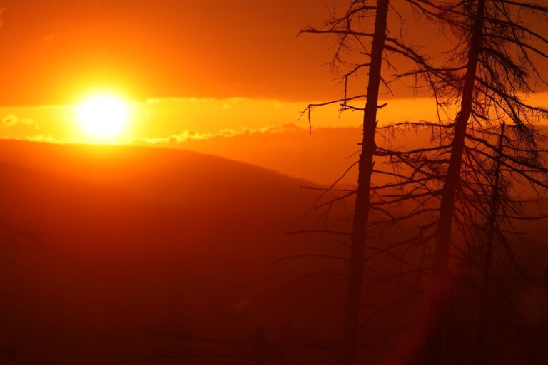 Sonnenuntergang im Harz