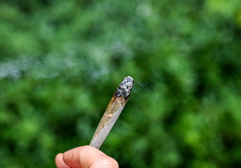 Cannabis-Messe "Mary Jane Berlin"