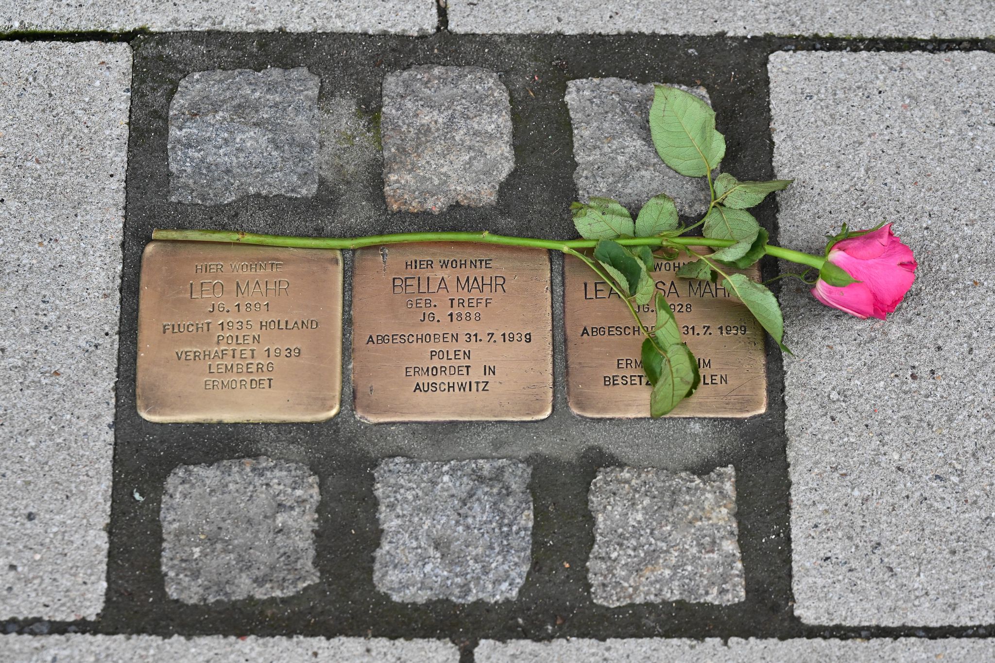40 Jahre Historikerstreit: Heute stellt sich eine neue Frage
