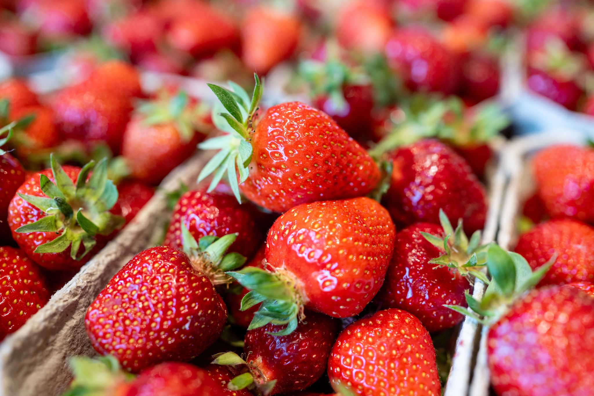 Erdbeeren