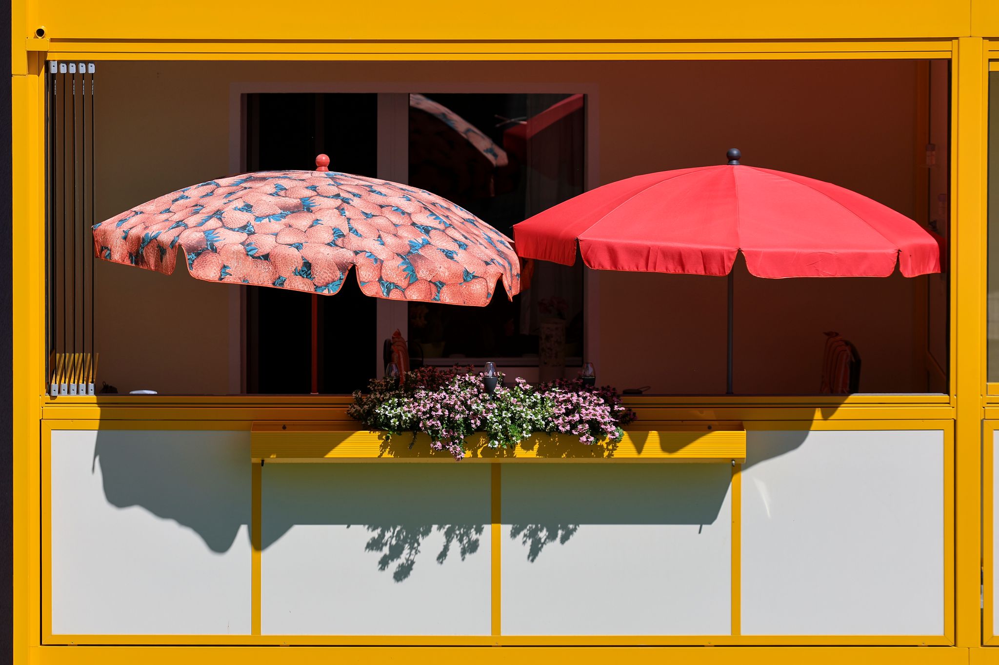 Sommer in Sachsen
