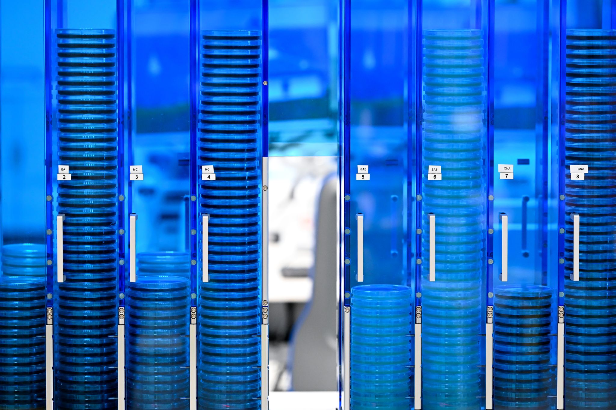 Diagnostik und translationale Forschung der Infektionsmedizin