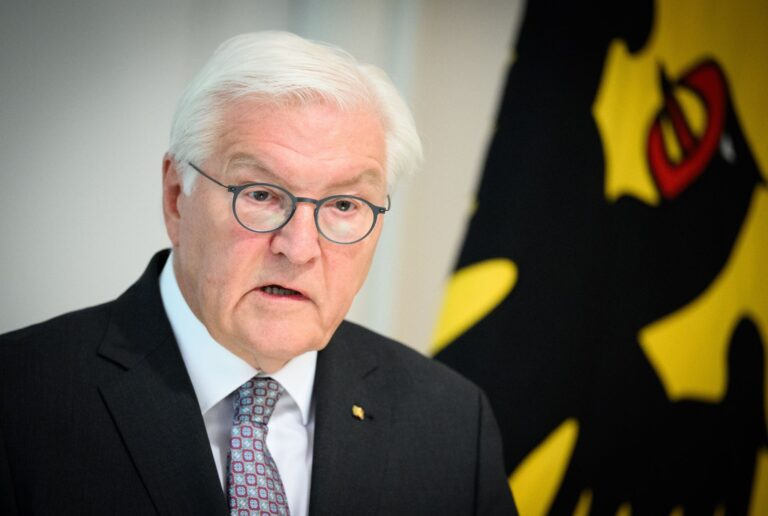Bundespräsident Steinmeier