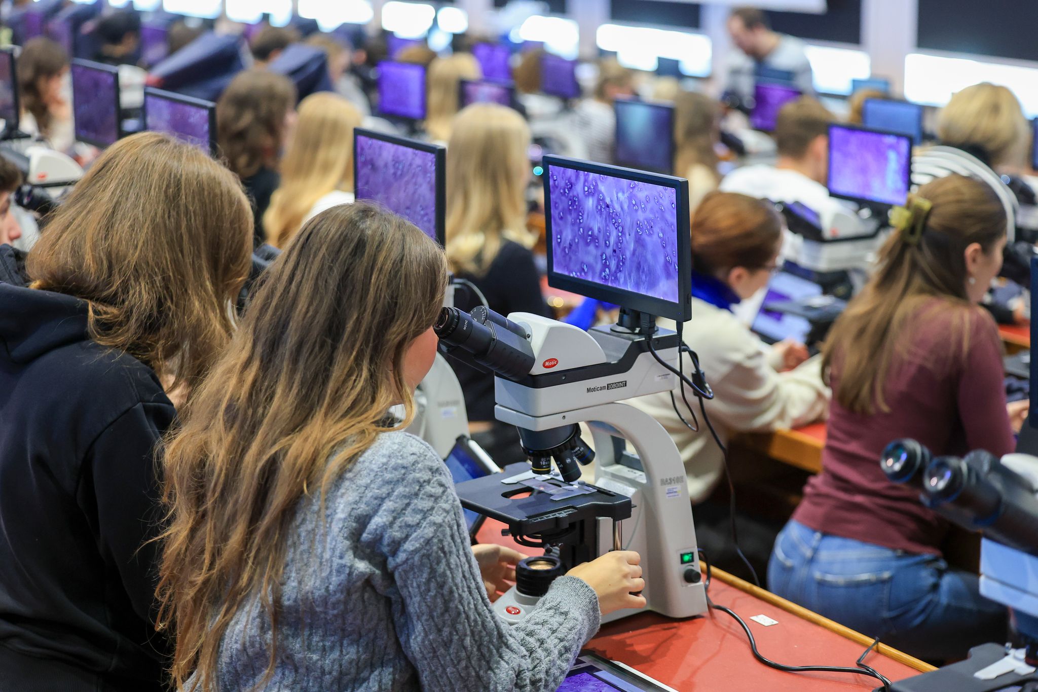 Studierende der Humanmedizin in Leipzig