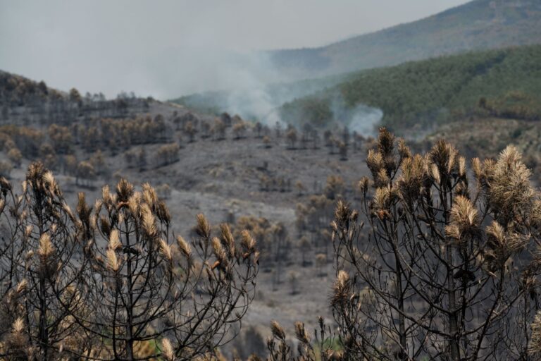 Waldbrände in Spanien