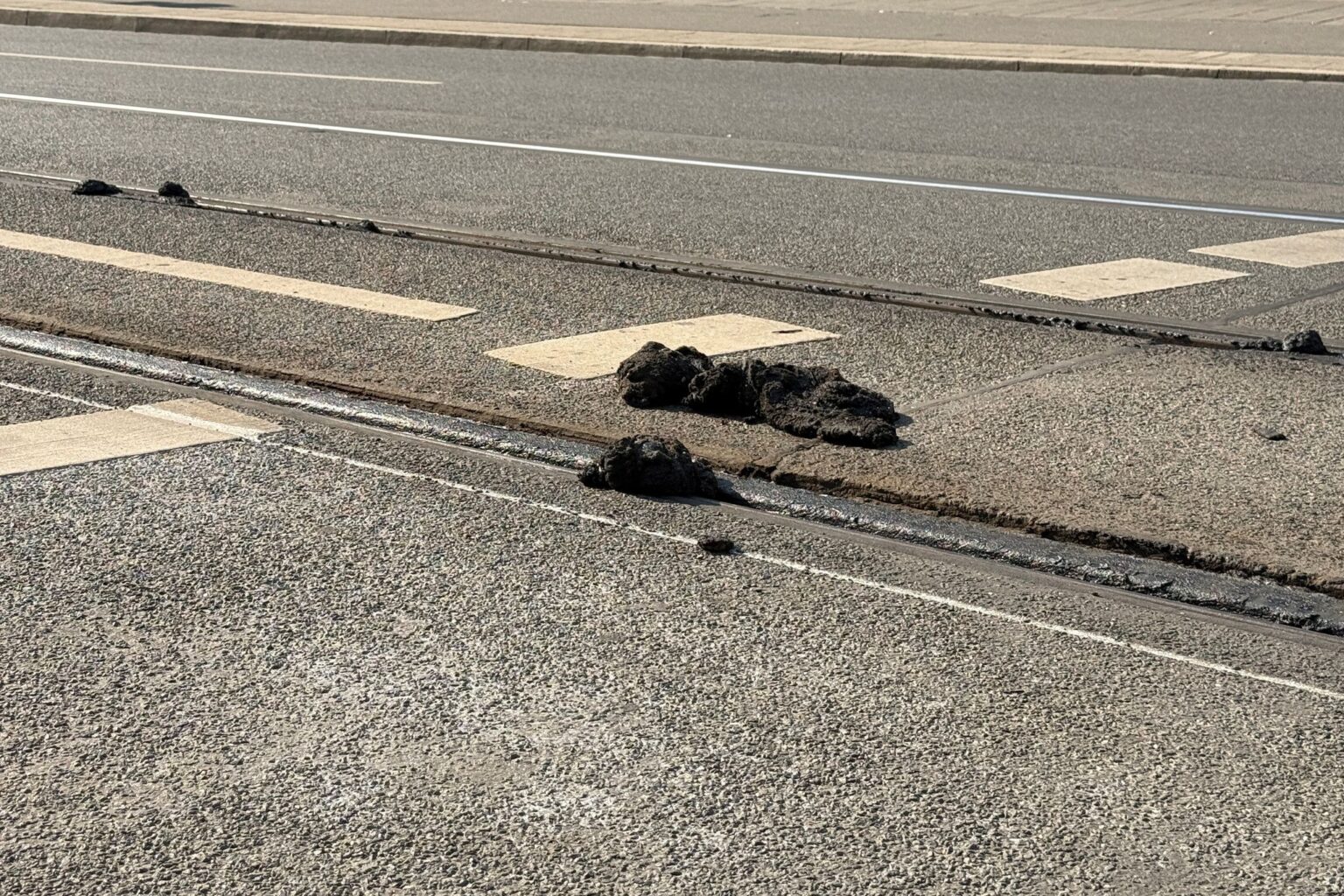 Straßenbahnbetrieb in Nürnberg eingestellt