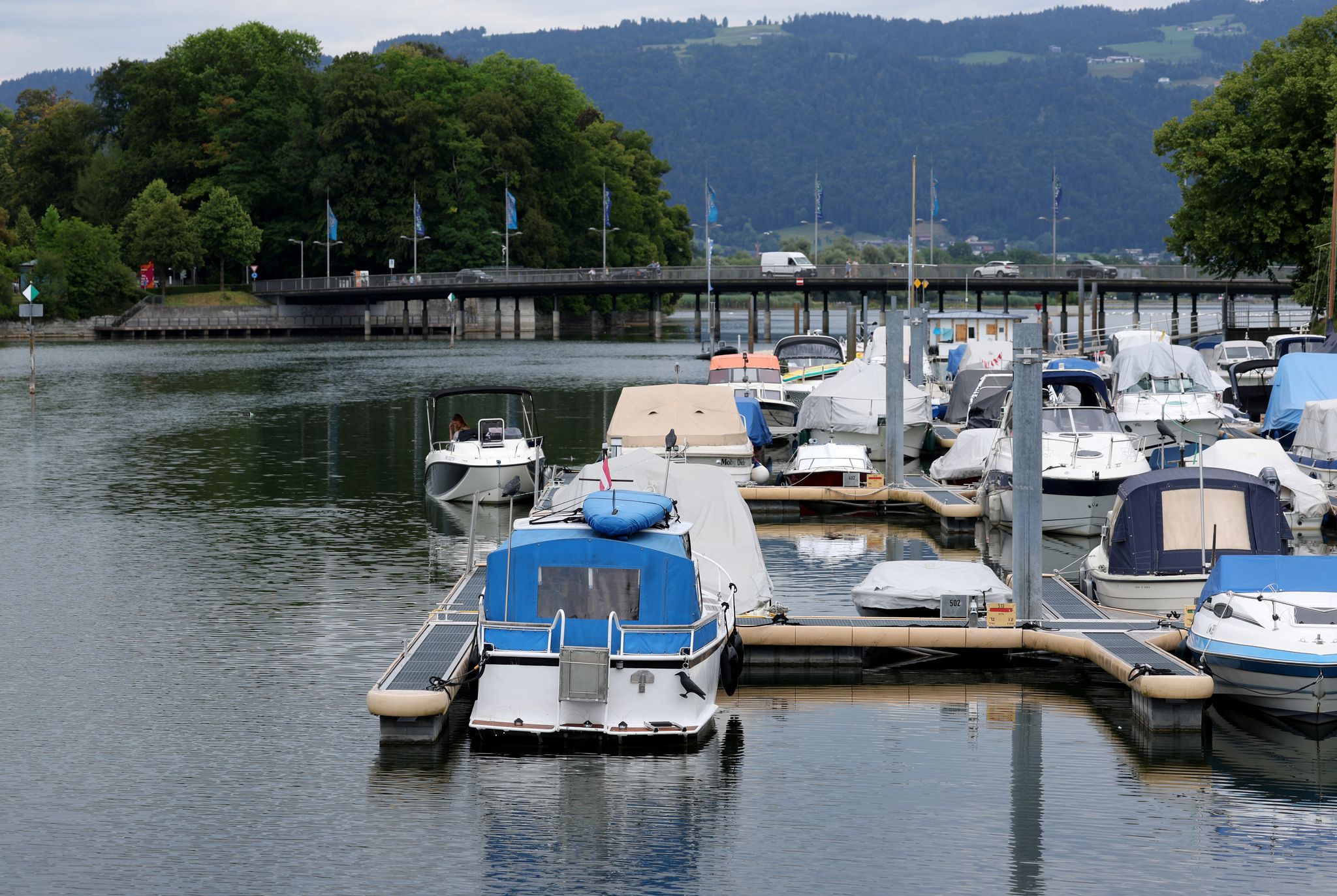 Warnung am Bodensee wegen Bakterien-Belastung