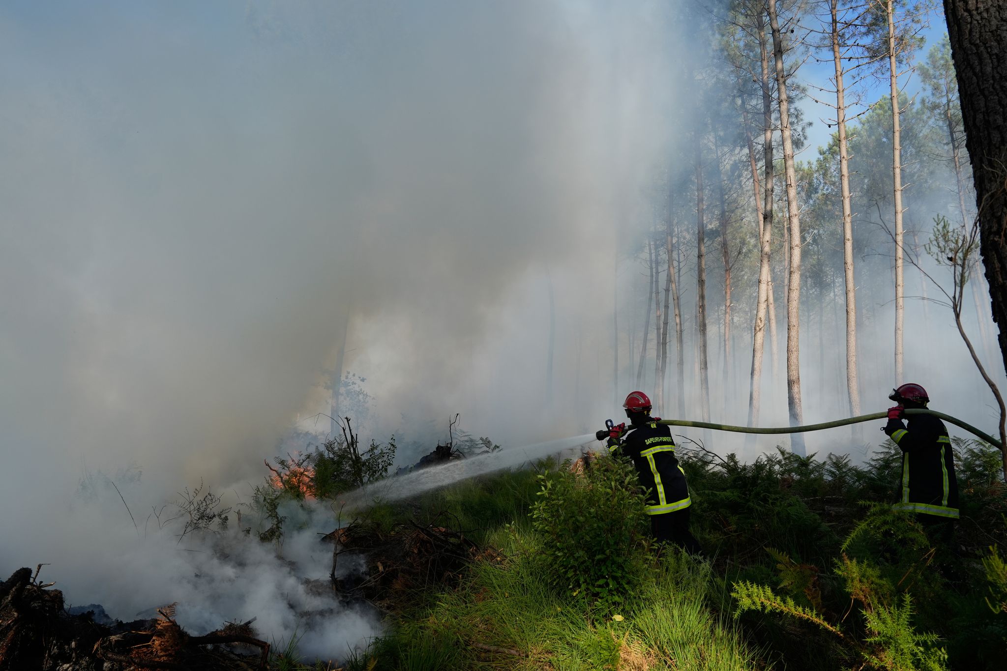 Waldbrände in Frankreich