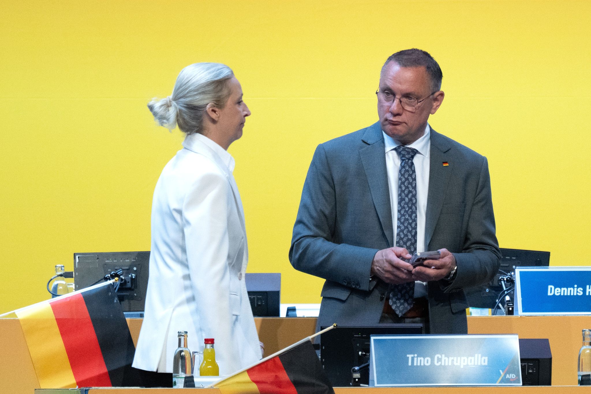 Bundesparteitag der AfD