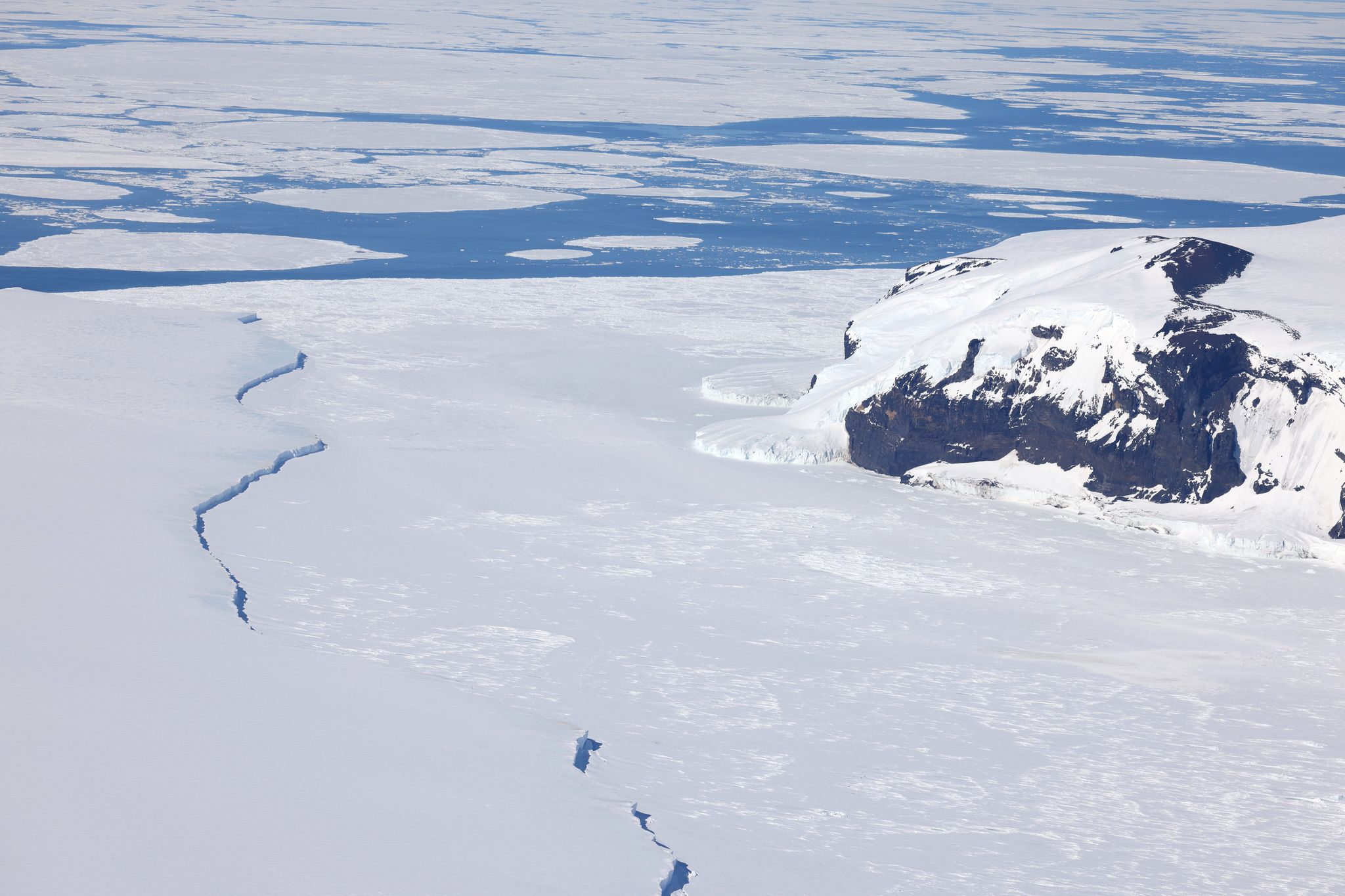 Kaiserpinguine in der Antarktis