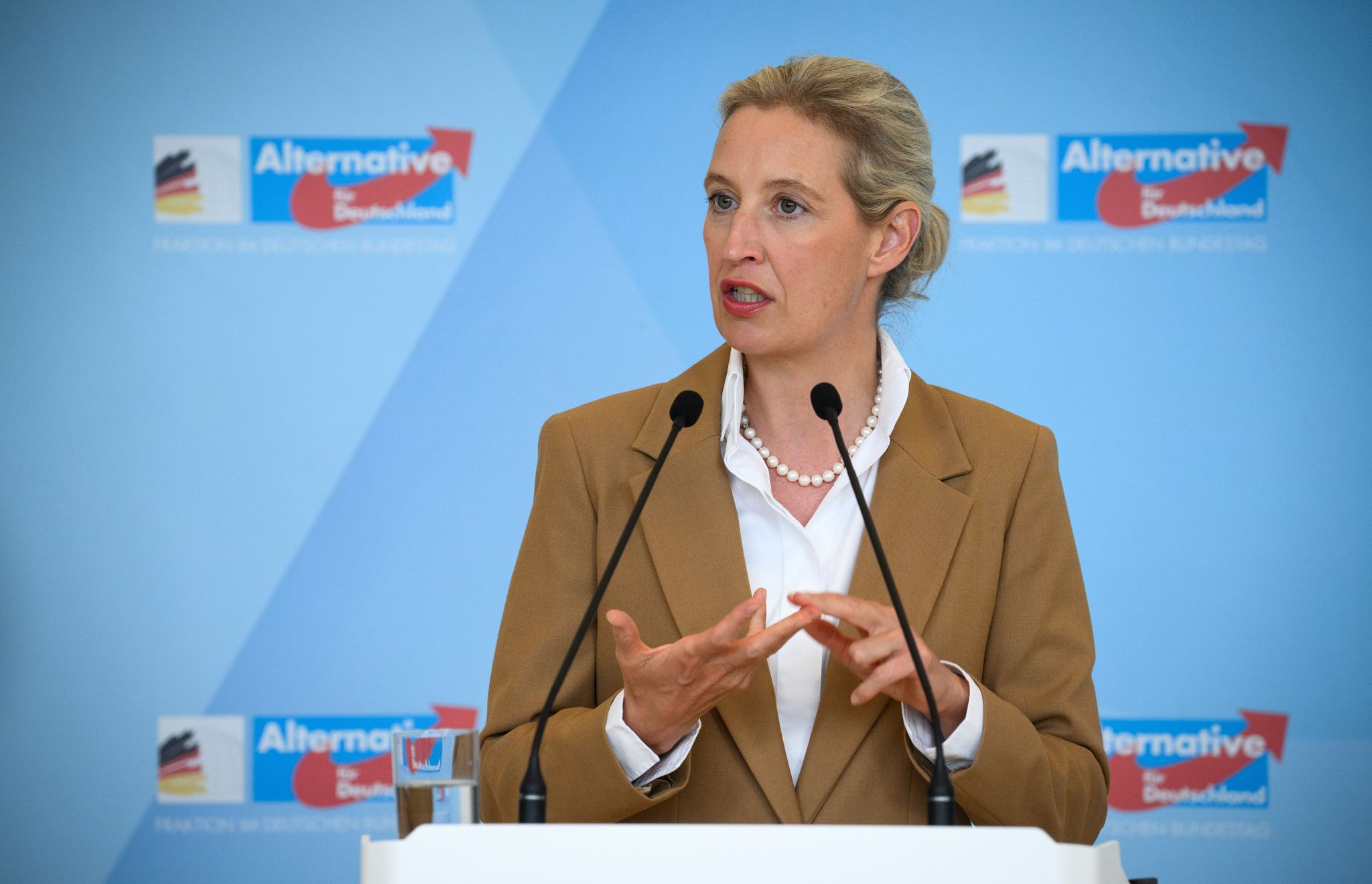 Alice Weidel