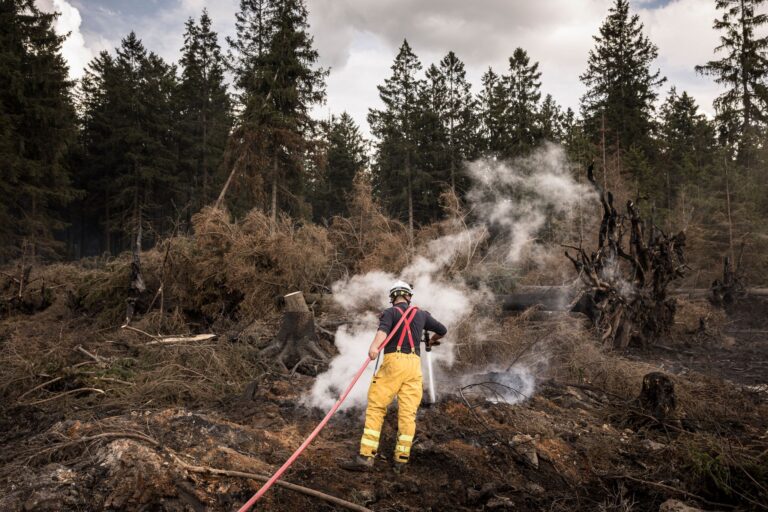 Waldbrand im Hohen Venn