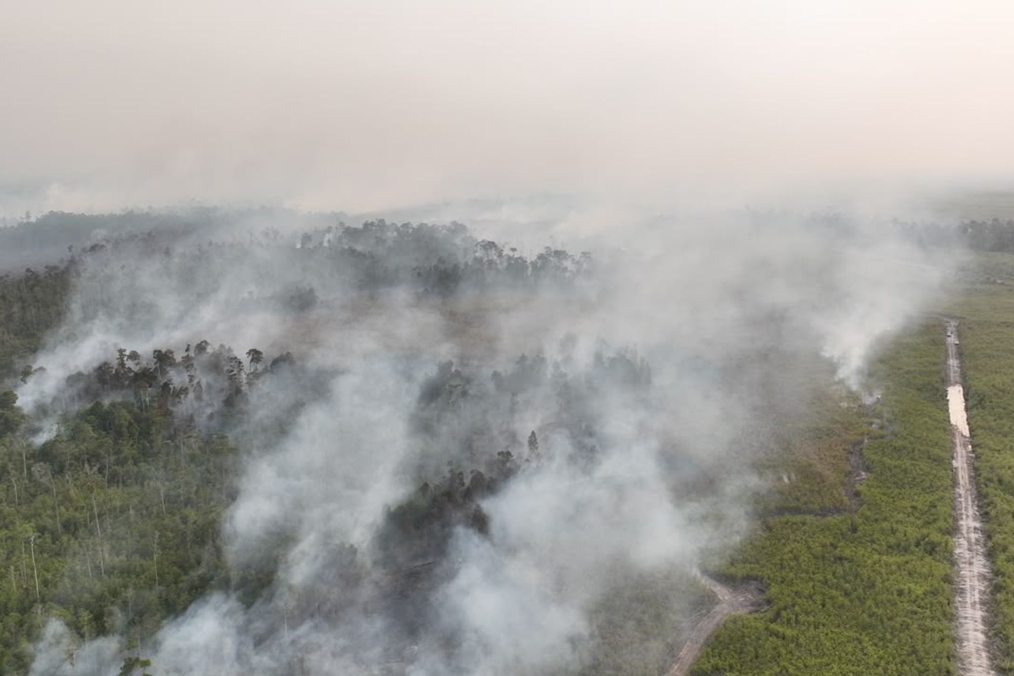 Waldbrände in Indonesien