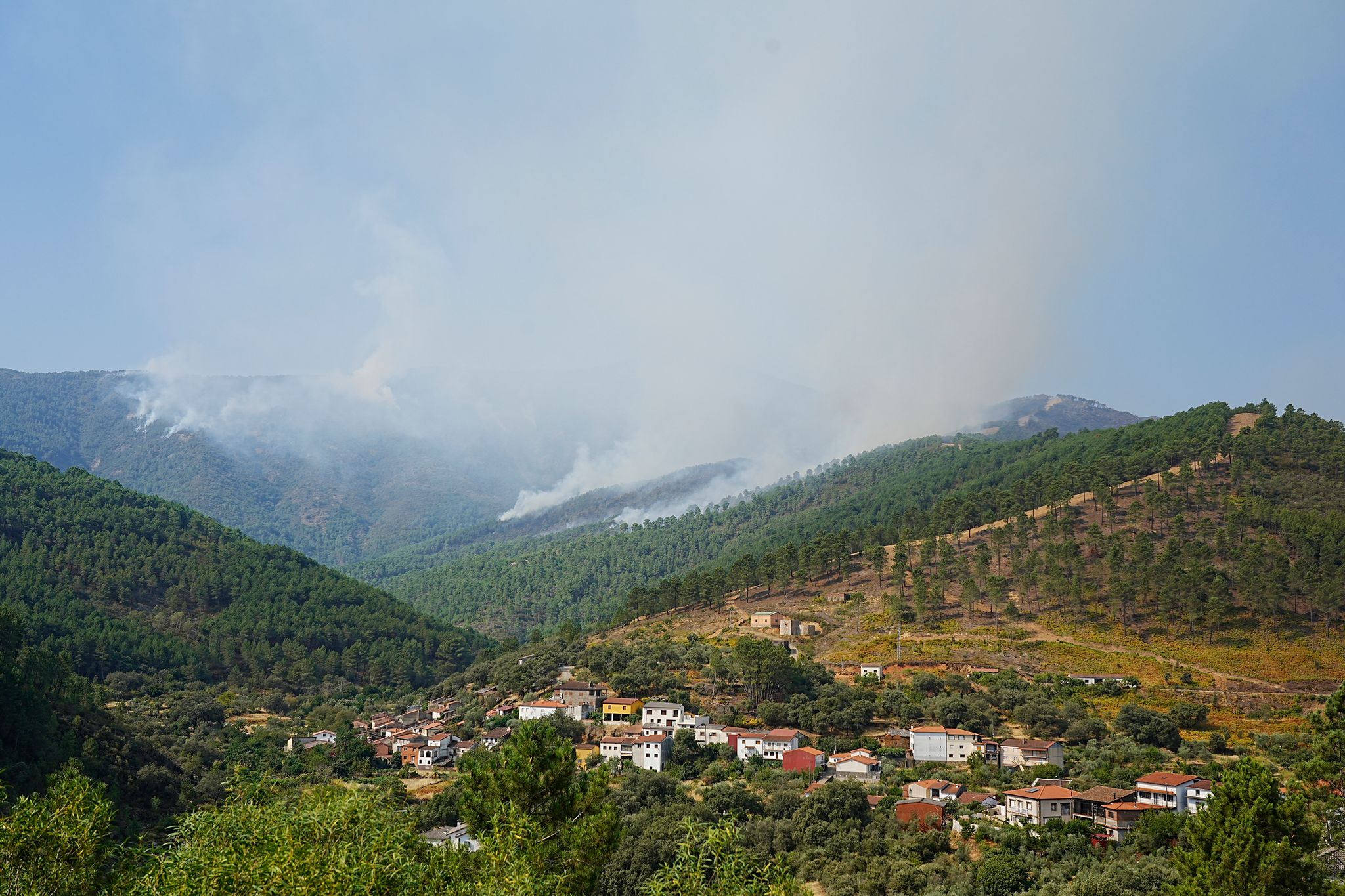 Spanien - Waldbrand