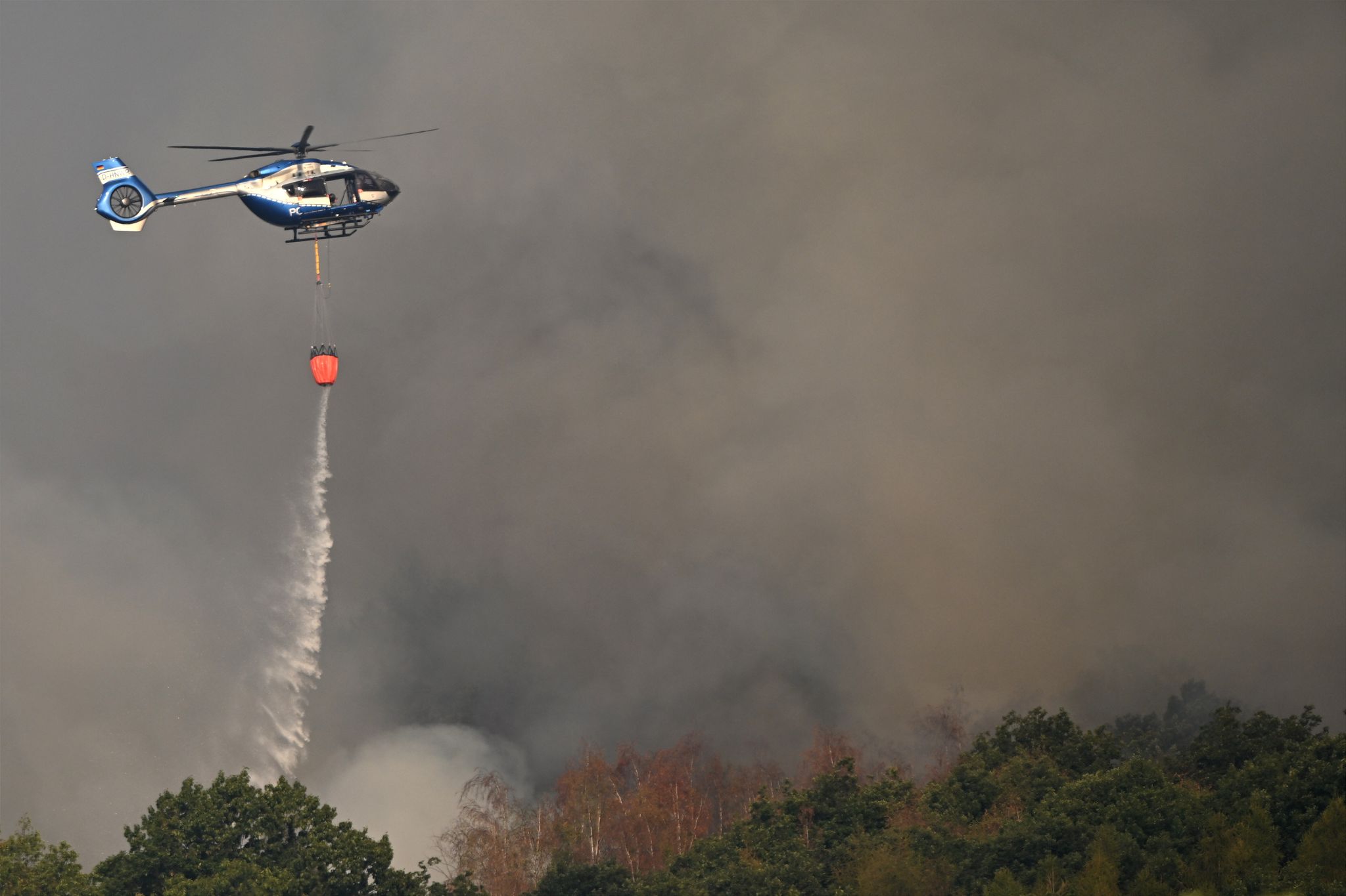 Waldbrand im Hürtgenwald