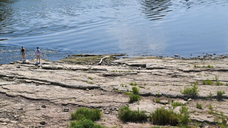 Niedrigwasser an der Elbe