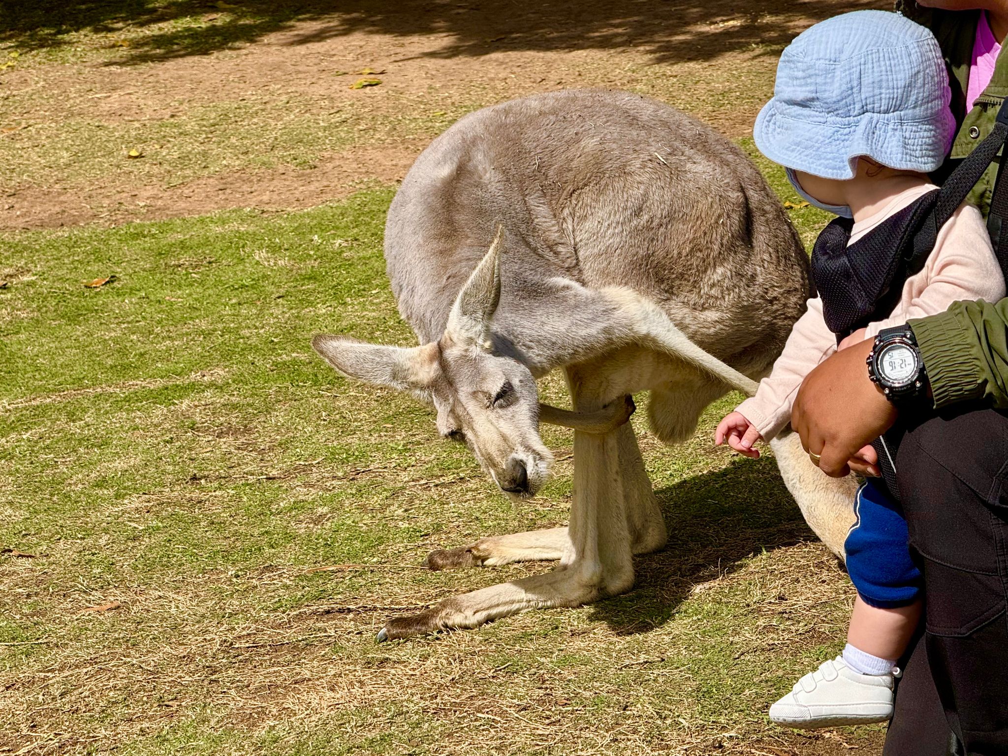 20. Todestag von «Crocodile Hunter» Steve Irwin