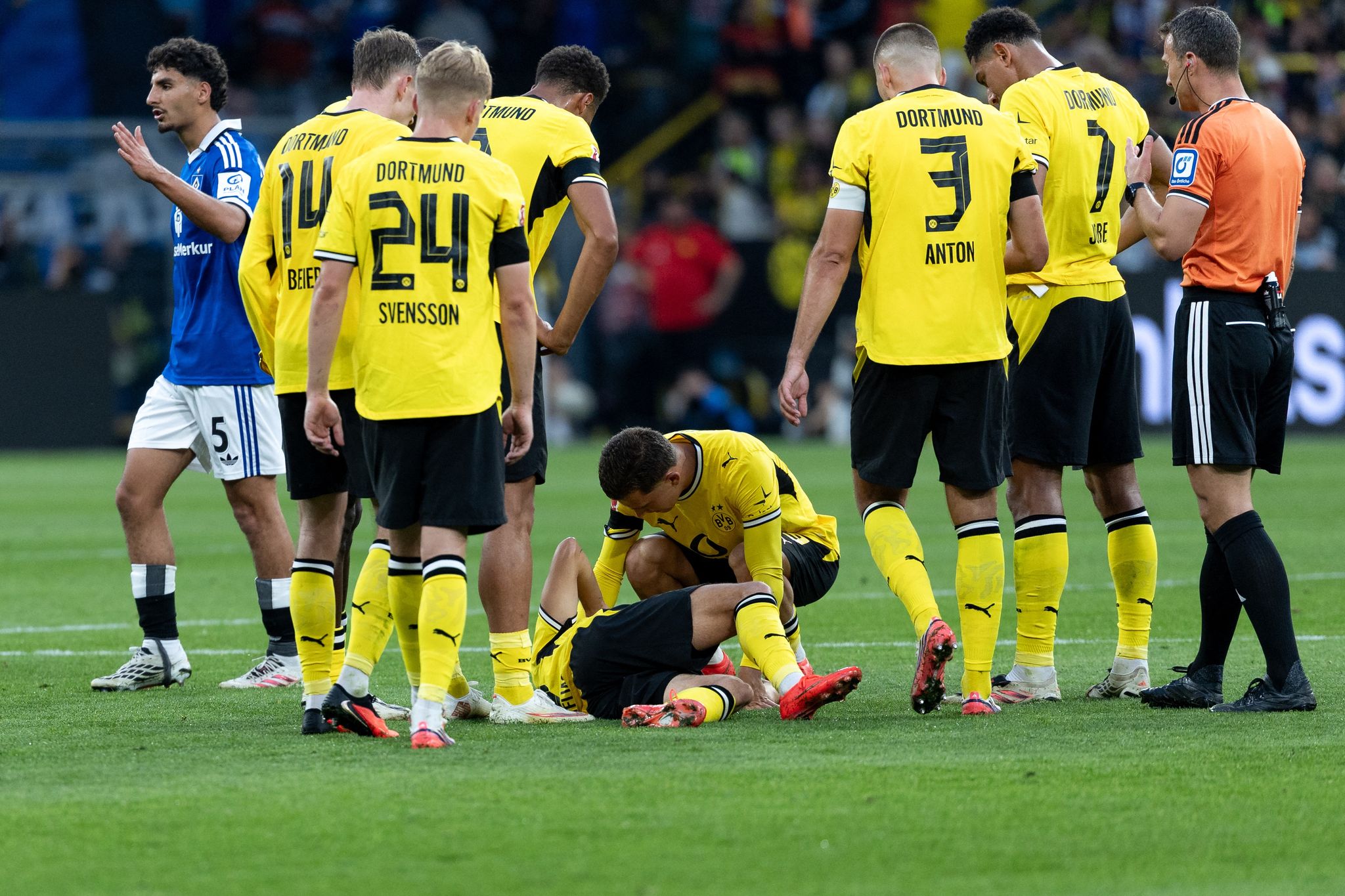 Borussia Dortmund - Hamburger SV