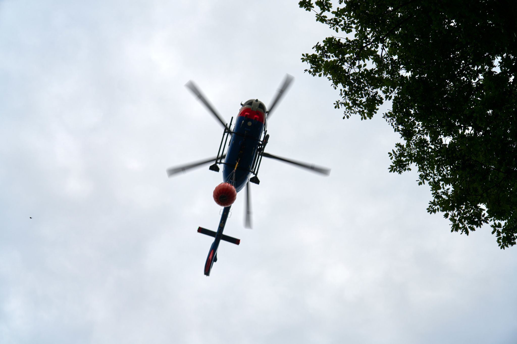 Waldbrand im Westerwald