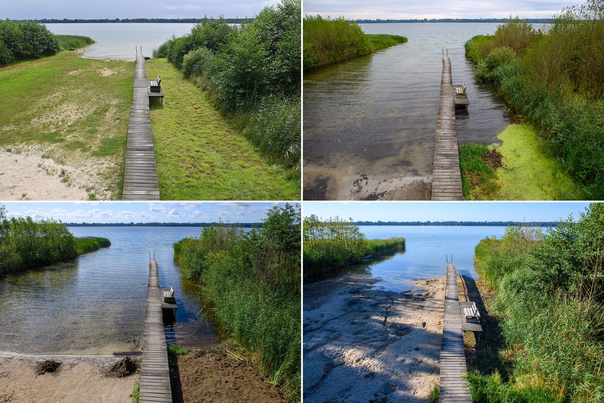 Klimafolgen #klf #klf2026 - Arendsee in der Altmark