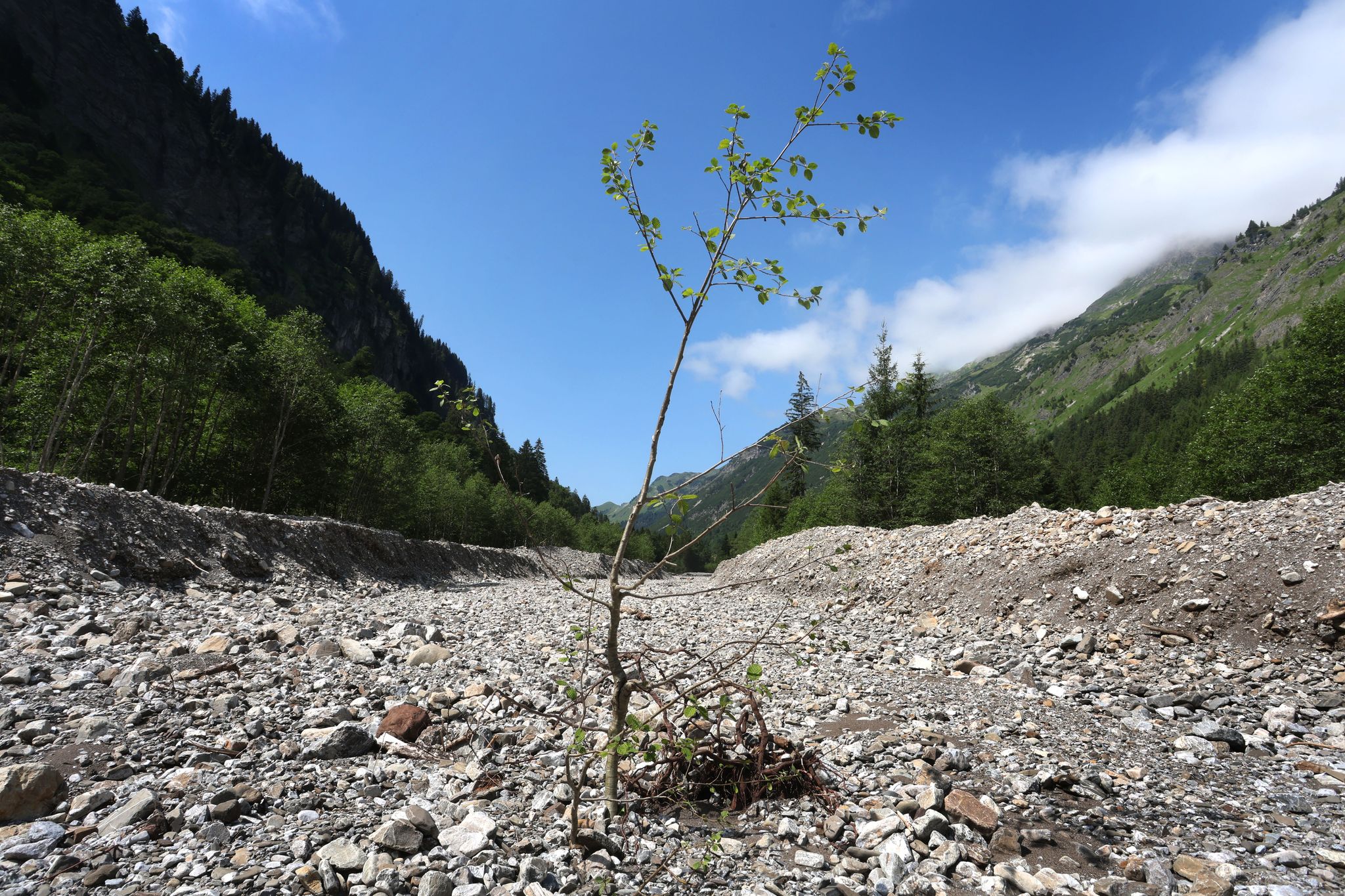Rappenalptal im Allgäu