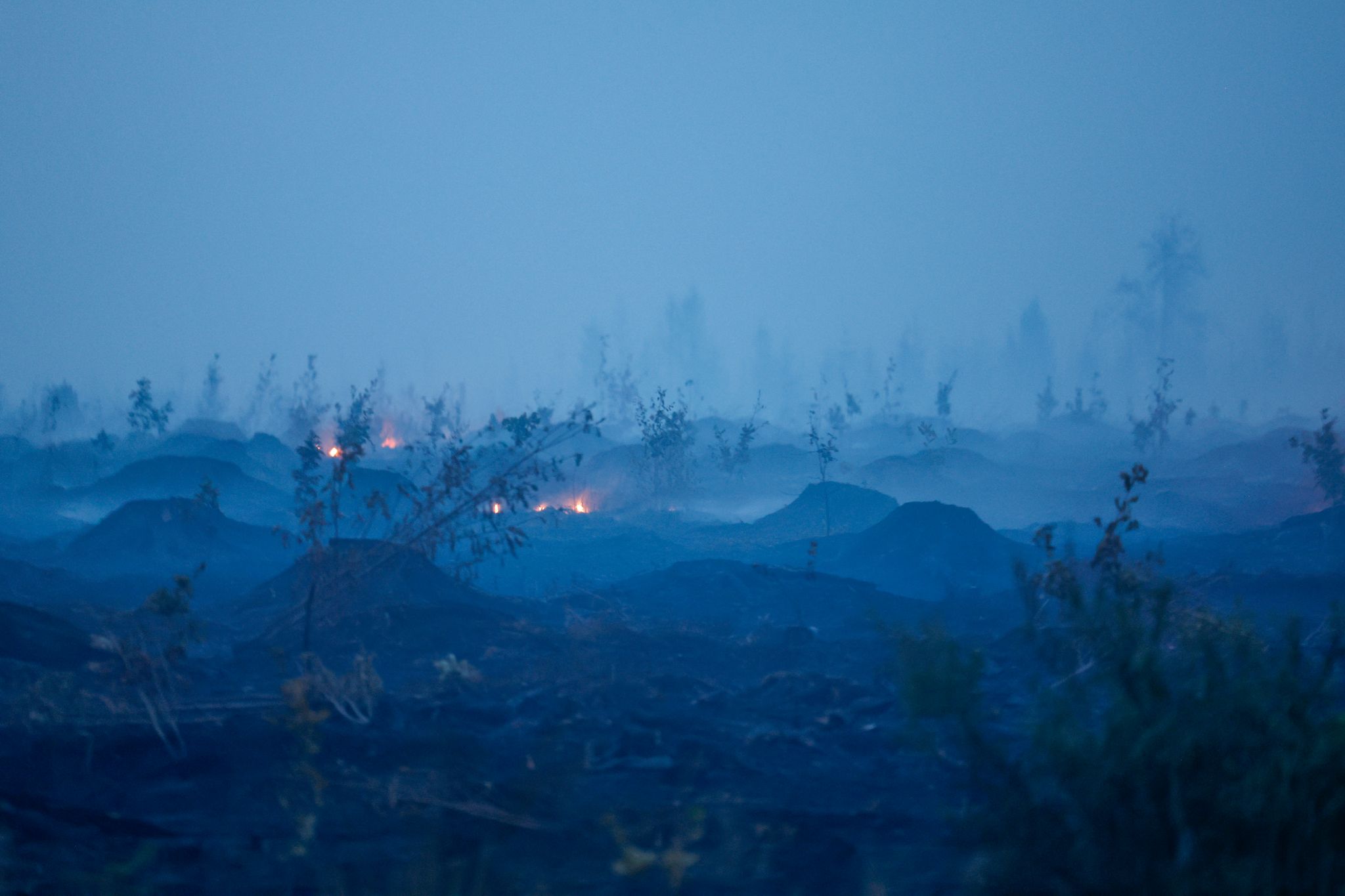 Waldbrand in Belgien