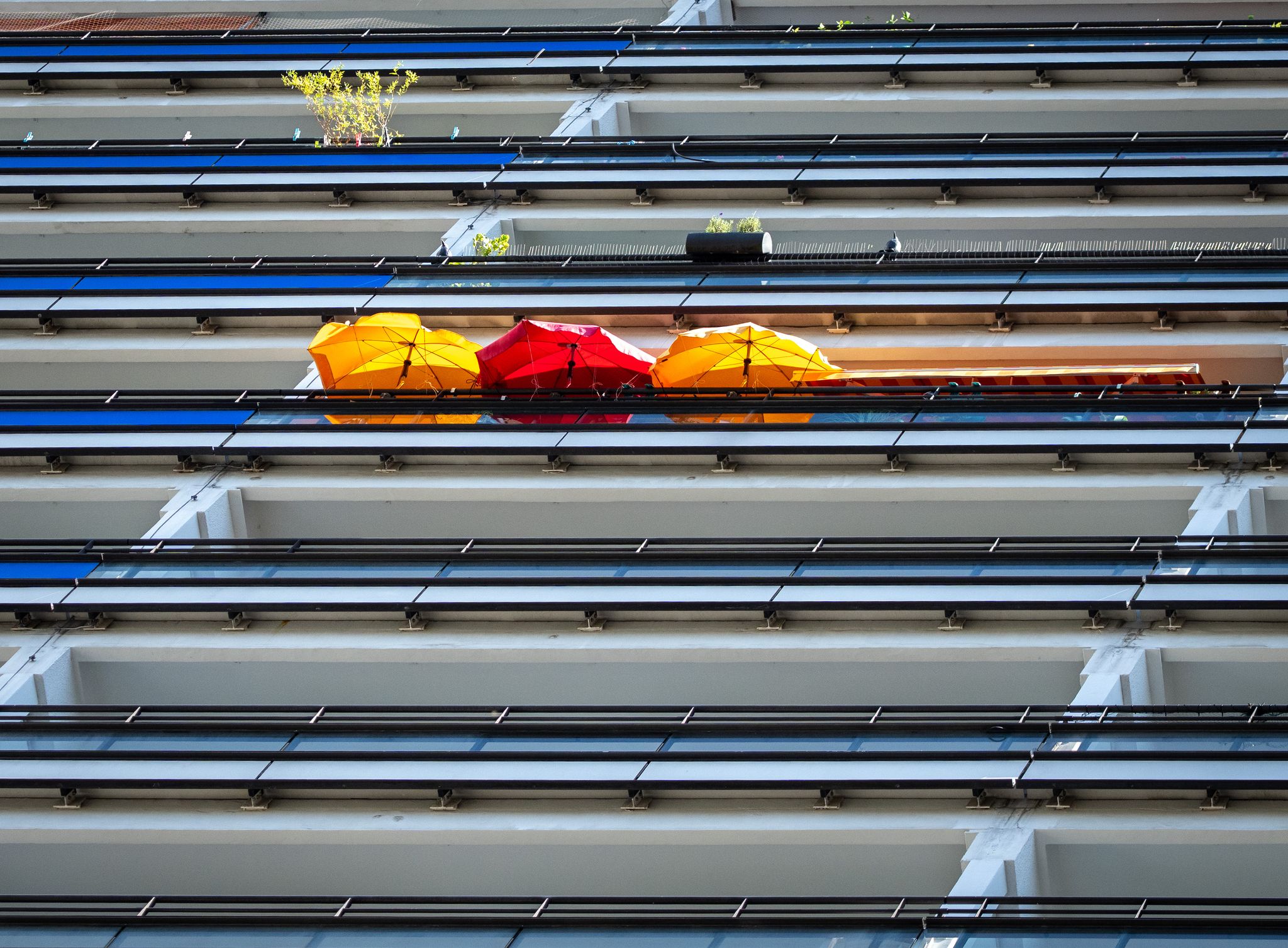 Sonne auf dem Balkon