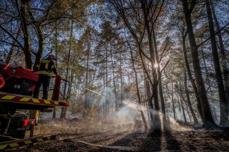 Waldbrand in Hessen
