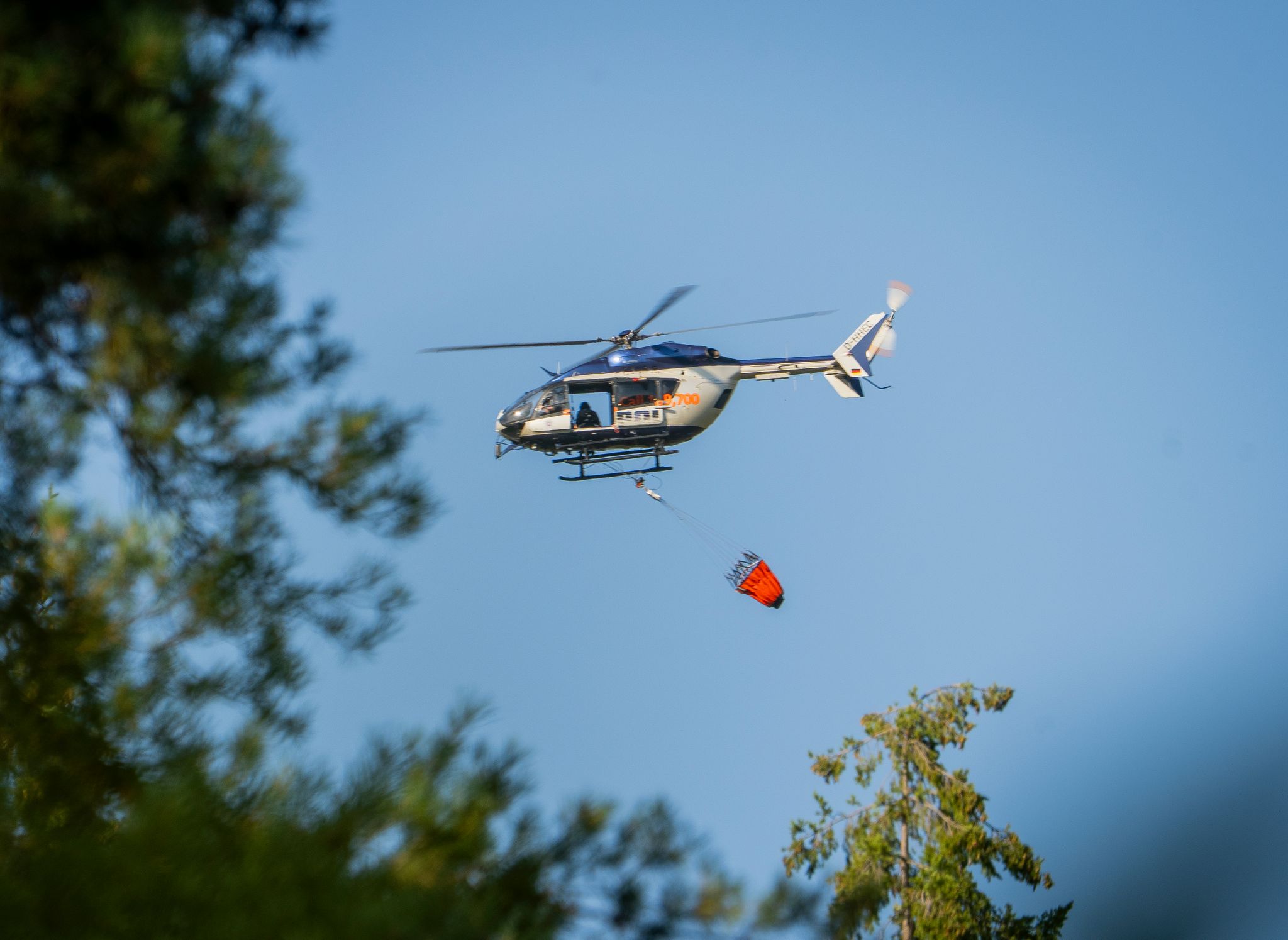 Waldbrand in Hessen