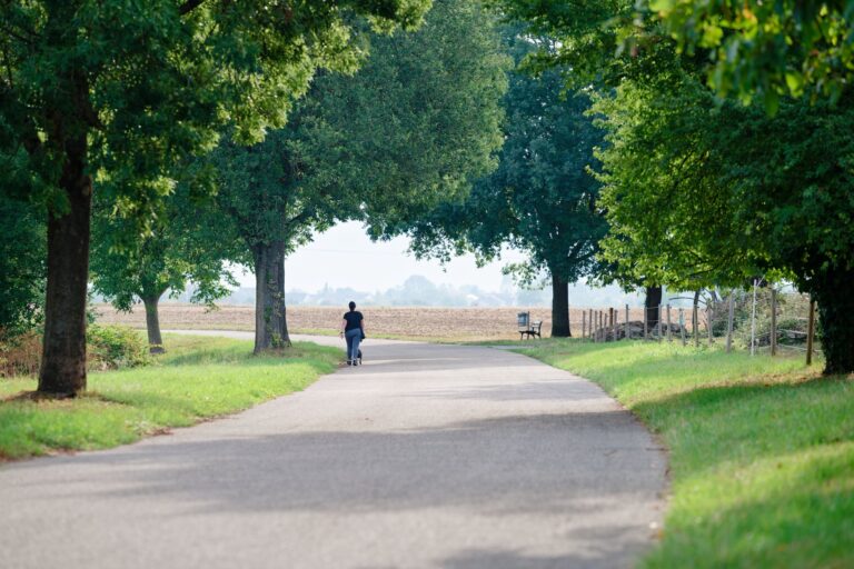 Wetter in Baden-Württemberg