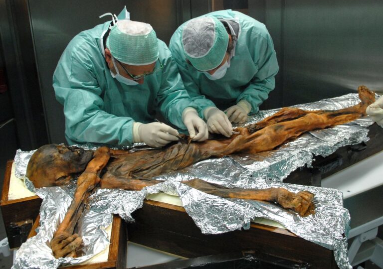 35 Jahre nach dem Fund der Gletschermumie Ötzi.