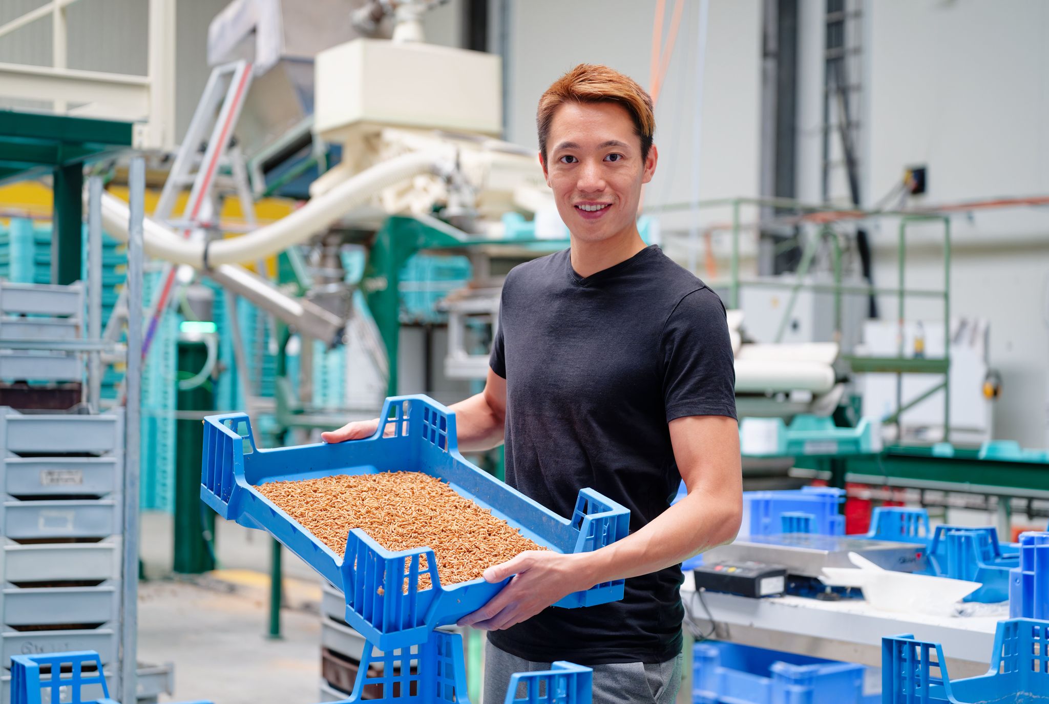 Industrielle Insektenzucht - Alpha-Protein GmbH