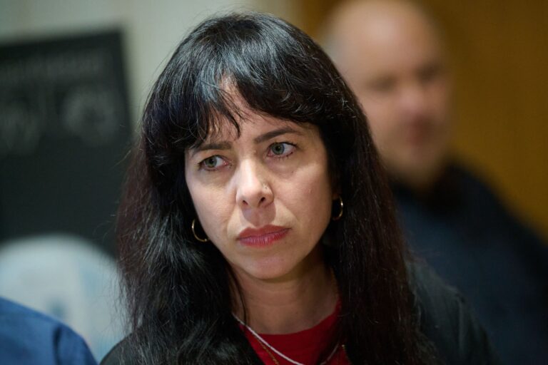 Berliner Abgeordnetenhaus - Linke