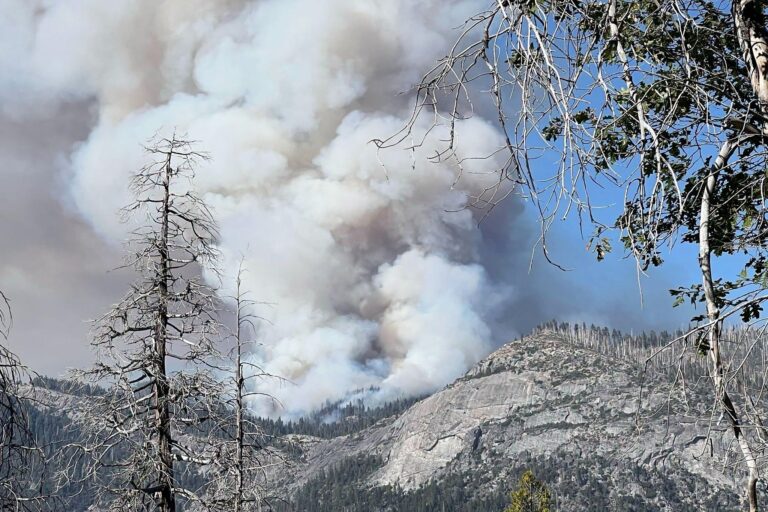 Waldbrände in den USA