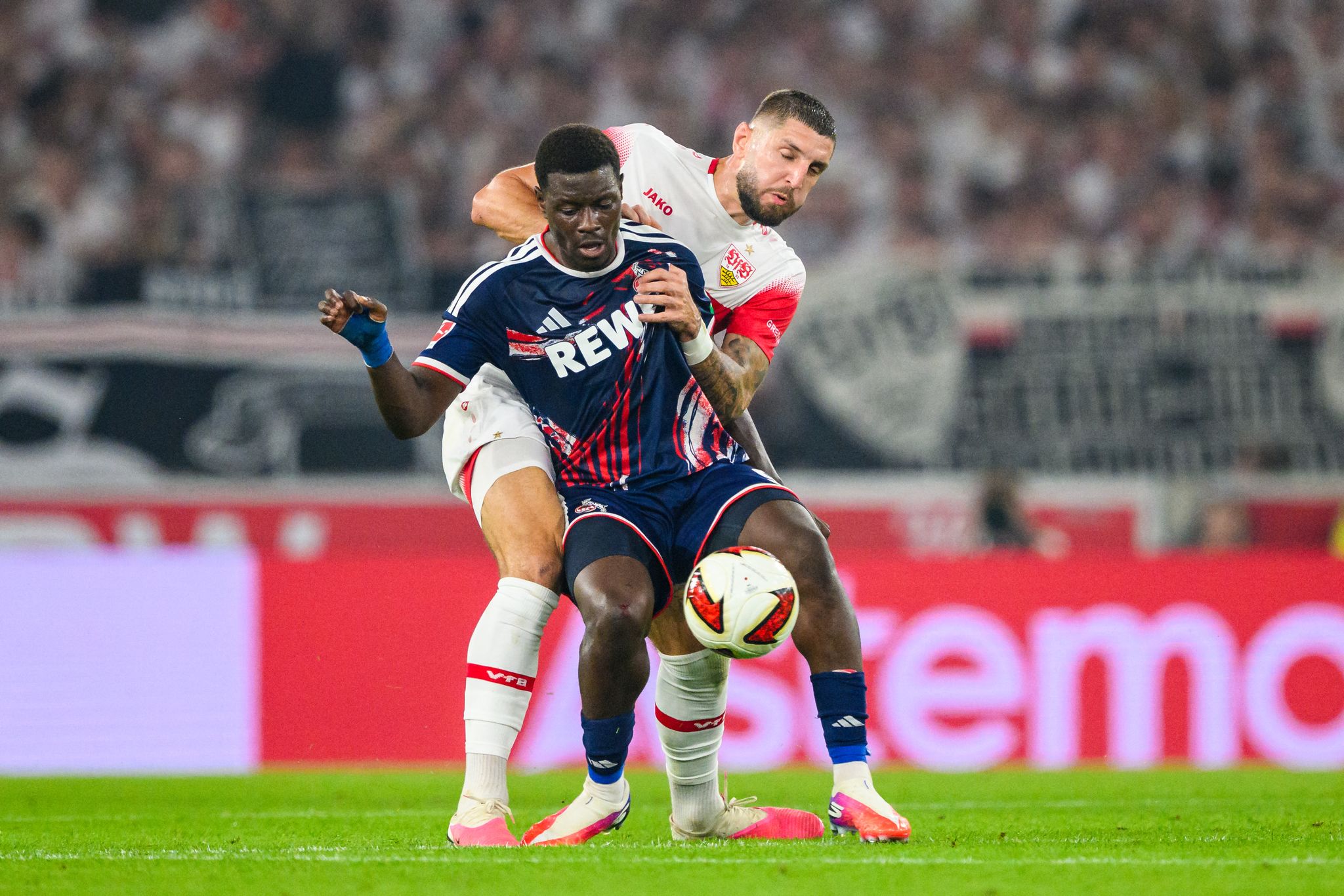 VfB Stuttgart - 1. FC Köln