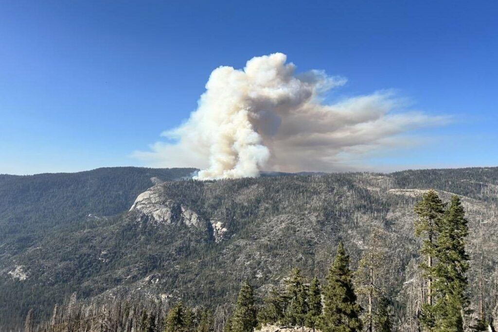 Waldbrände in den USA