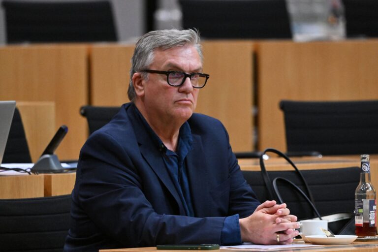 Anhörung zu einem Parteiverbotsverfahren gegen die AfD