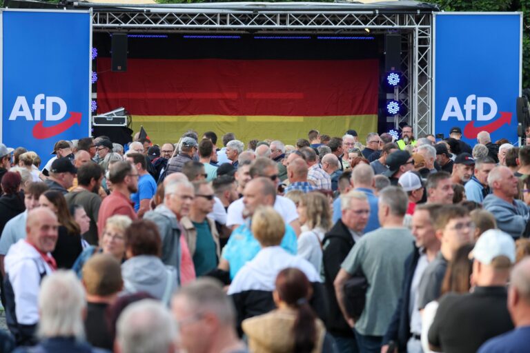 Wahlkampf Sachsen-Anhalt - AfD
