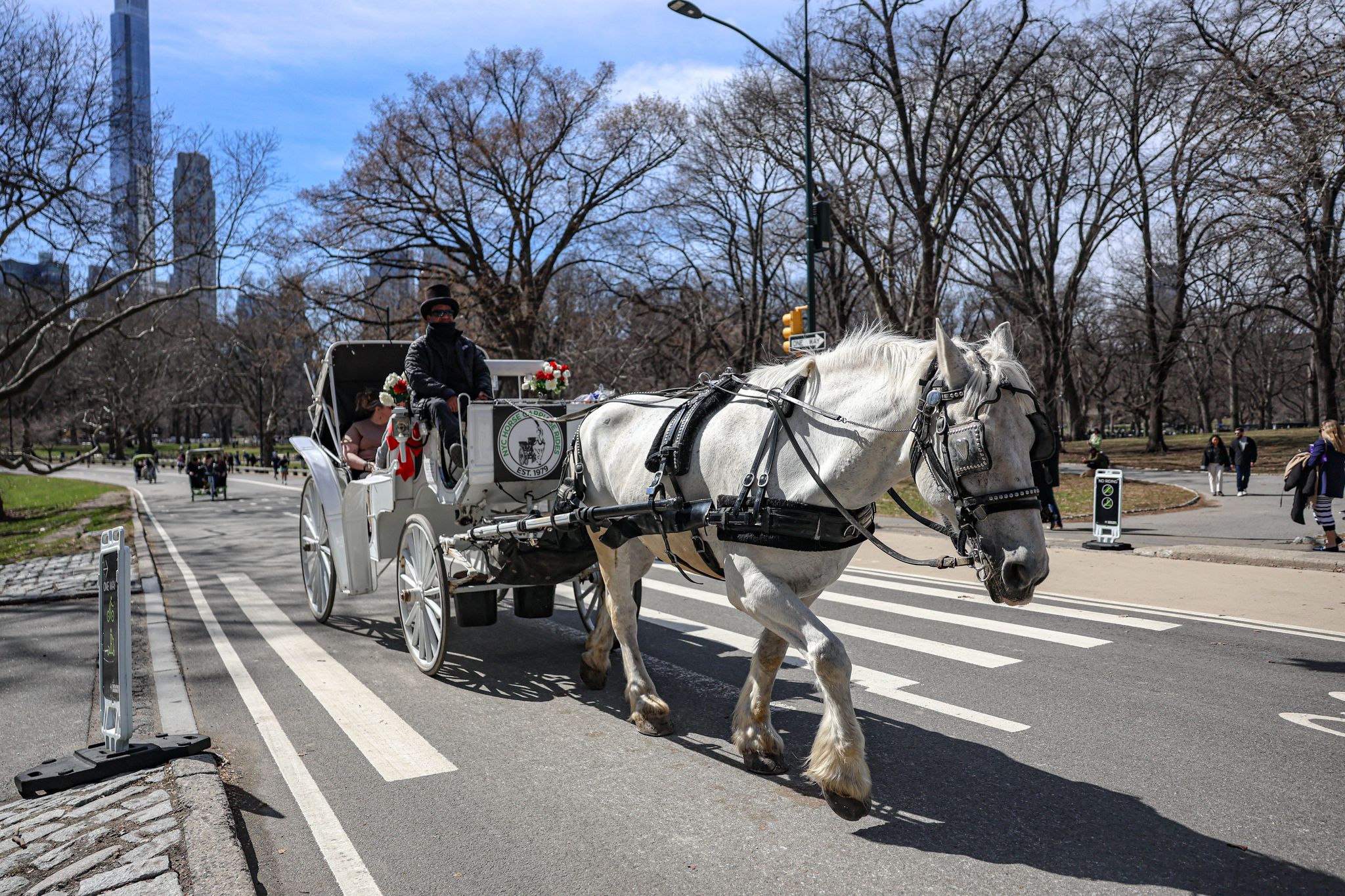 Pferdekutsche im Central Park