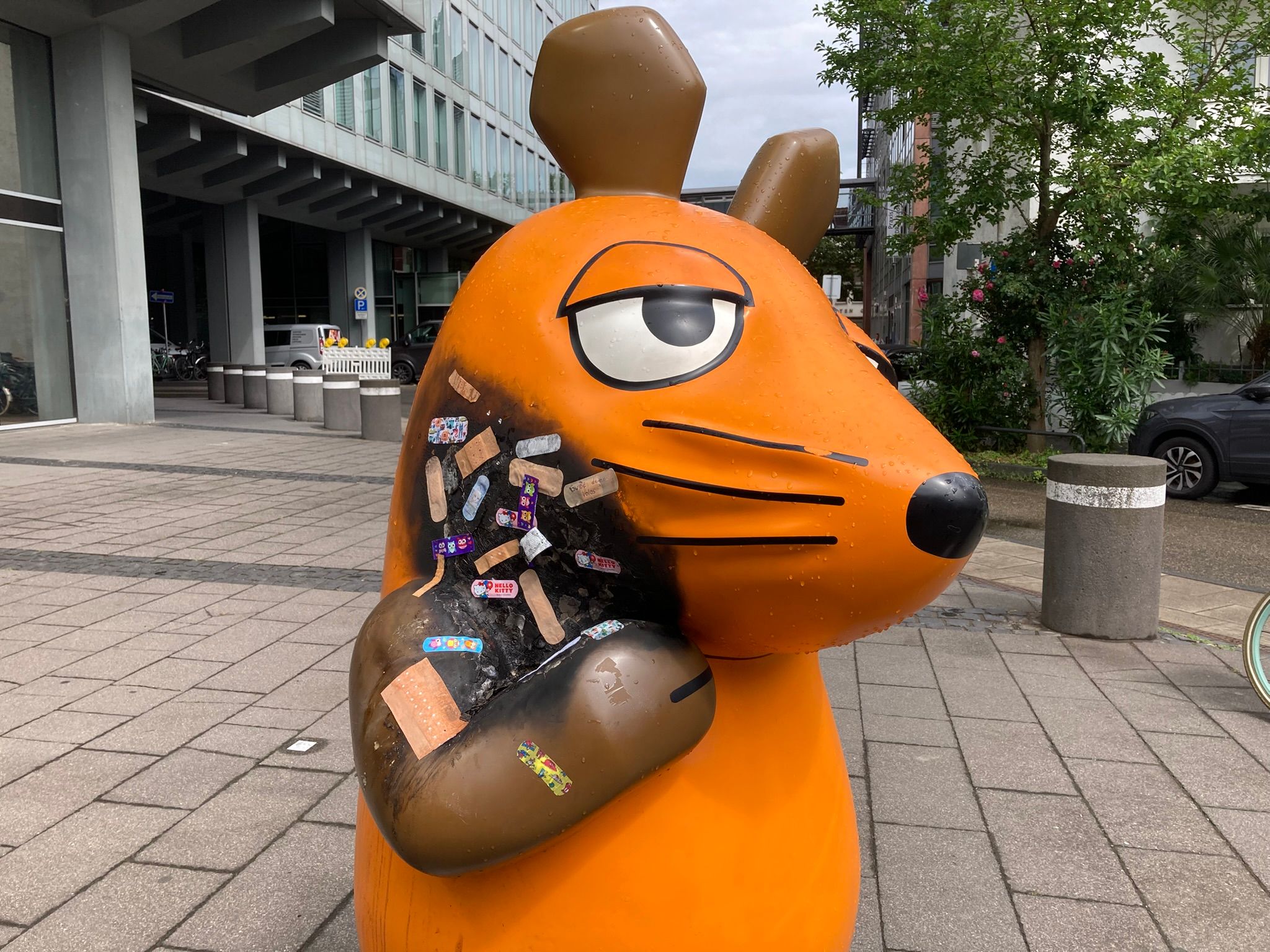 Pflaster für die Maus