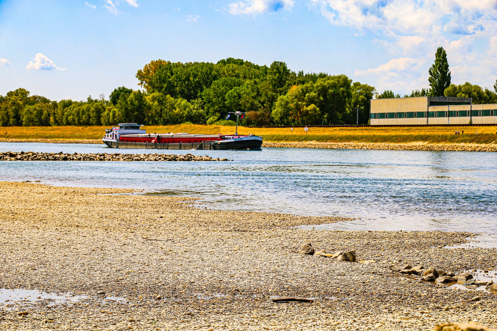 Niedrigwasser am Rhein