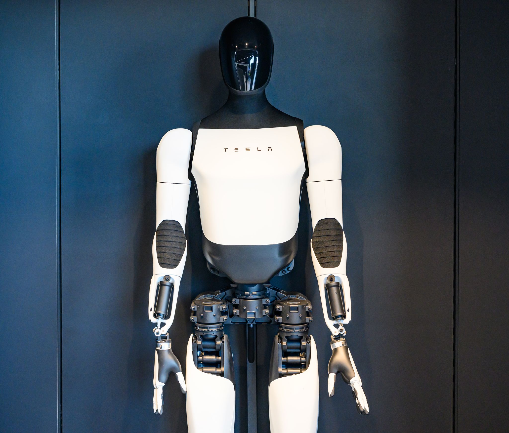 Roboter Tesla Optimus
