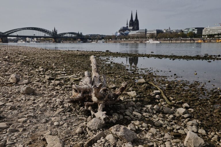 Niedrigwasser am Rhein in Köln