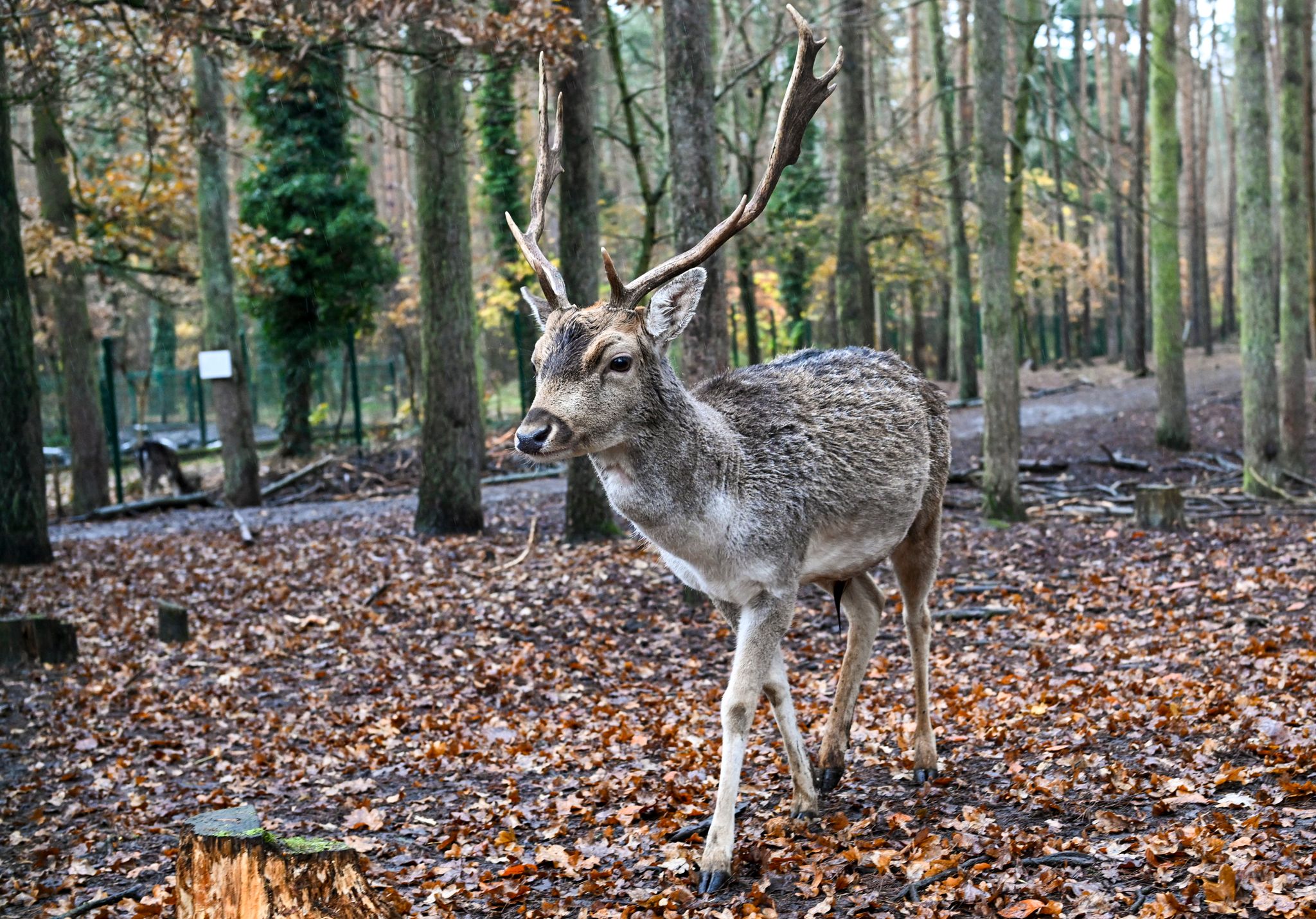 Tierpark Perleberg