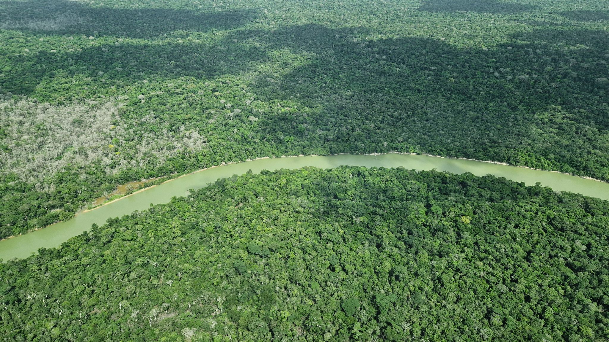 Amazonasgebiet